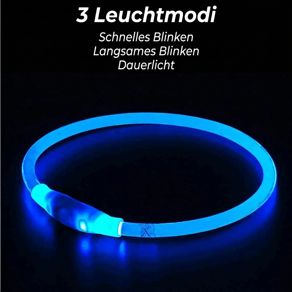 🐾 LED Sicherheits-Hundehalsband USB