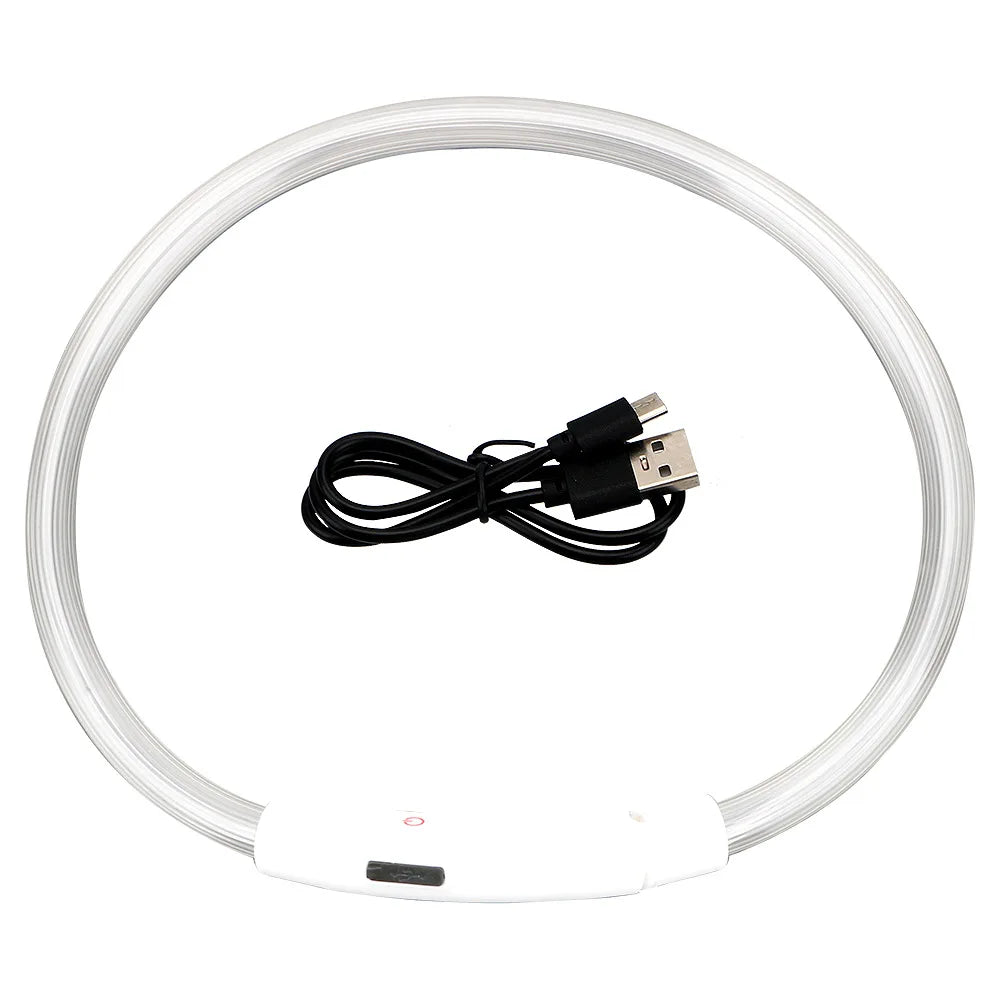 🐾 LED Sicherheits-Hundehalsband USB