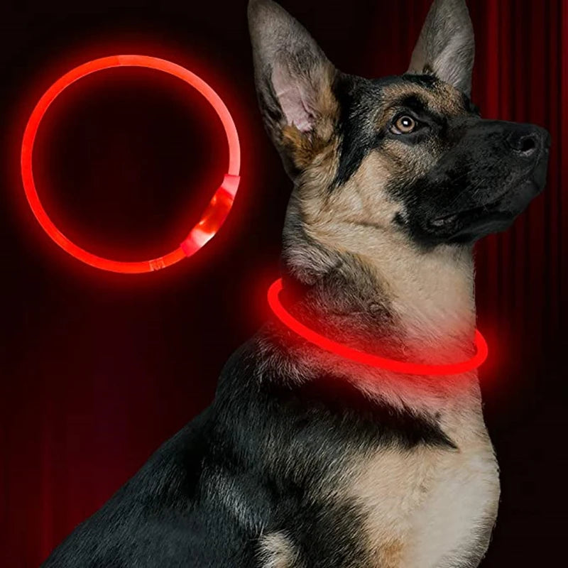 🐾 LED Sicherheits-Hundehalsband USB