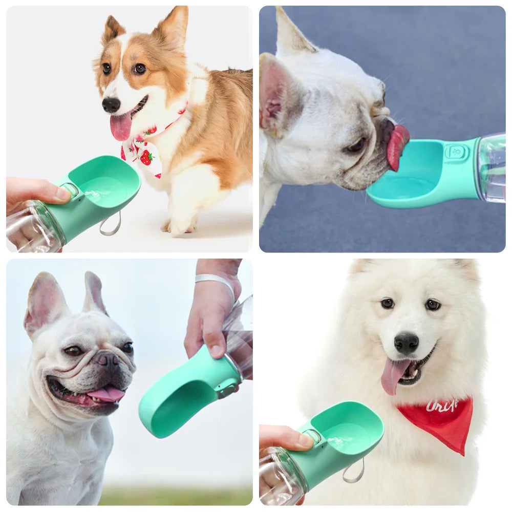🚰 Premium Hunde-Wasserflasche für unterwegs