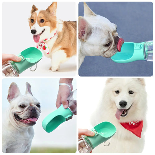 🚰 Premium Hunde-Wasserflasche für unterwegs