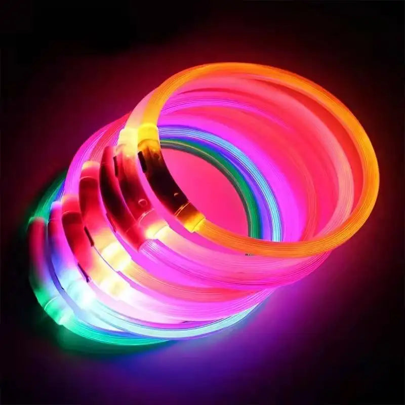 🐾 LED Sicherheits-Hundehalsband USB